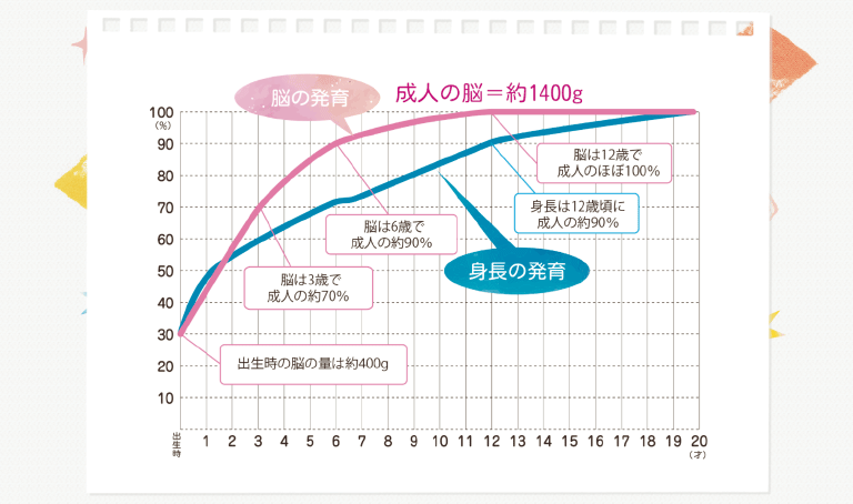 年齢と脳の発育の関係を示した折れ線グラフ
